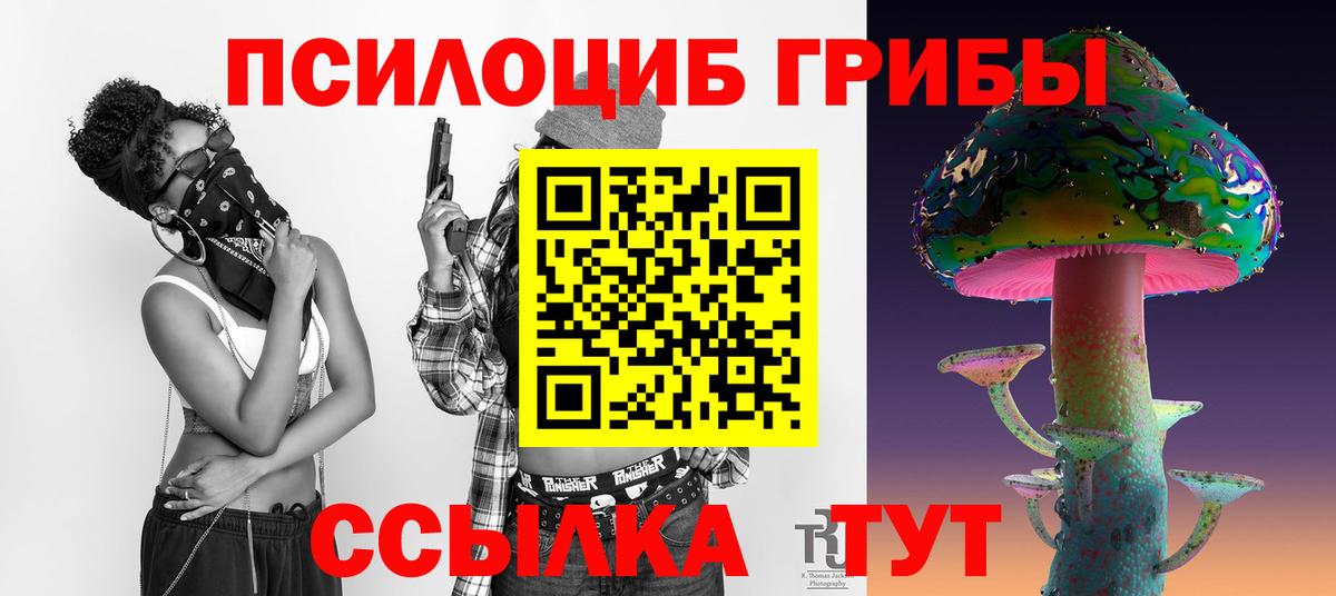 Менделеевск  Галлюциногенные грибы Psilocybe  Вход с VPN 